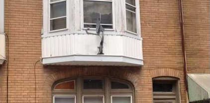 623 Lincoln St, York