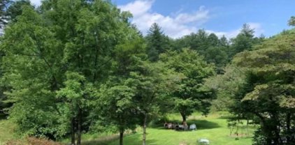2455 Diamond Creek  Road, Lake Toxaway