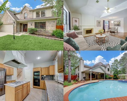 89 E Stony End Place, The Woodlands