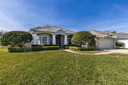 346 Hickory Springs Court, Debary