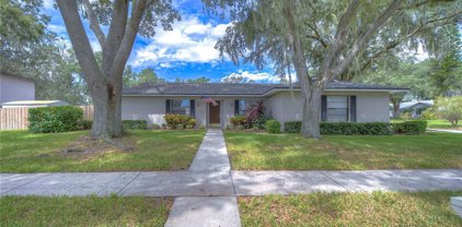 1006 Winchester Lane, Valrico