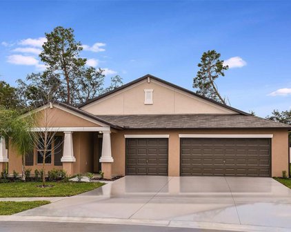 2974 Flying Blackbird Road, Bartow