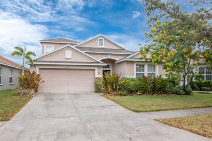 8006 Abbey Mist Cove, Tampa