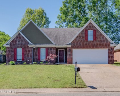 425 S Timber Way, Hernando