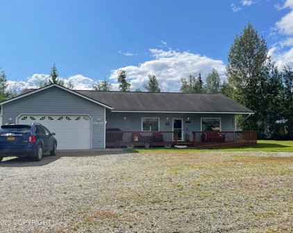 15024 W Fireweed Drive, Big Lake