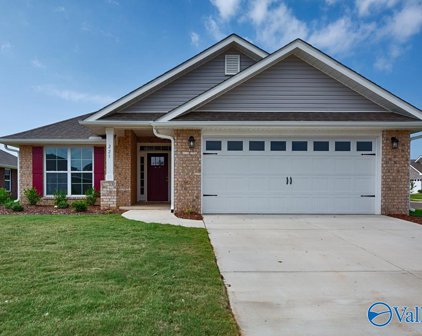 9206 Eagle Trace Drive Se, Owens Cross Roads