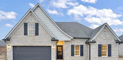 8614 Jackie Drive, Southaven