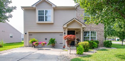 1197 Sunkiss Court, Franklin
