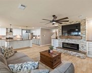 21010 Harvest Terrace Lane, Spring image