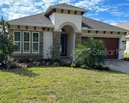 14178 Thoroughbred Drive, Dade City
