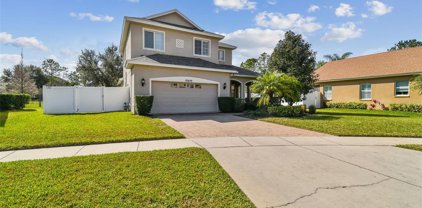 19420 Red Sky Court, Land O' Lakes
