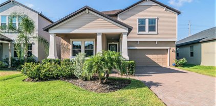 11409 Chilly Water Court, Riverview