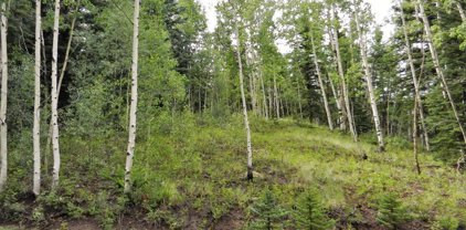 32081 Bristol Head, Creede