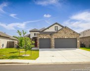 749 Willowbrook, New Braunfels image