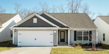 628 Calming Dusk Way, Elgin