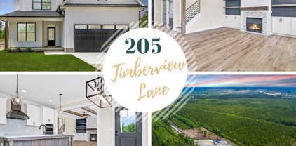 205 Timberview Lane, Beulaville