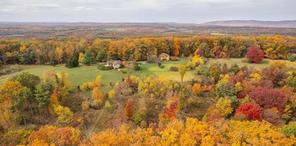 520 Winding Ridge Ln, Winchester