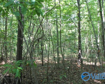 2ACRES County Road 474, Fort Payne