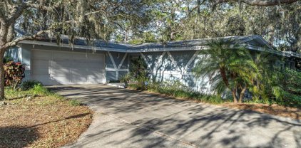 421 Old East Lake Road, Tarpon Springs
