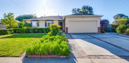 936 Mockingbird LN, Sunnyvale