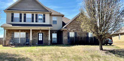 7599 Wisteria Drive, Olive Branch