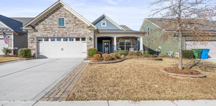 811 Bliss  Drive, Fort Mill