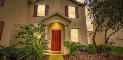 30134 Barnaby Lane, Wesley Chapel