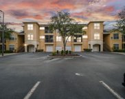 5125 Palm Springs Boulevard Unit 2204, Tampa image