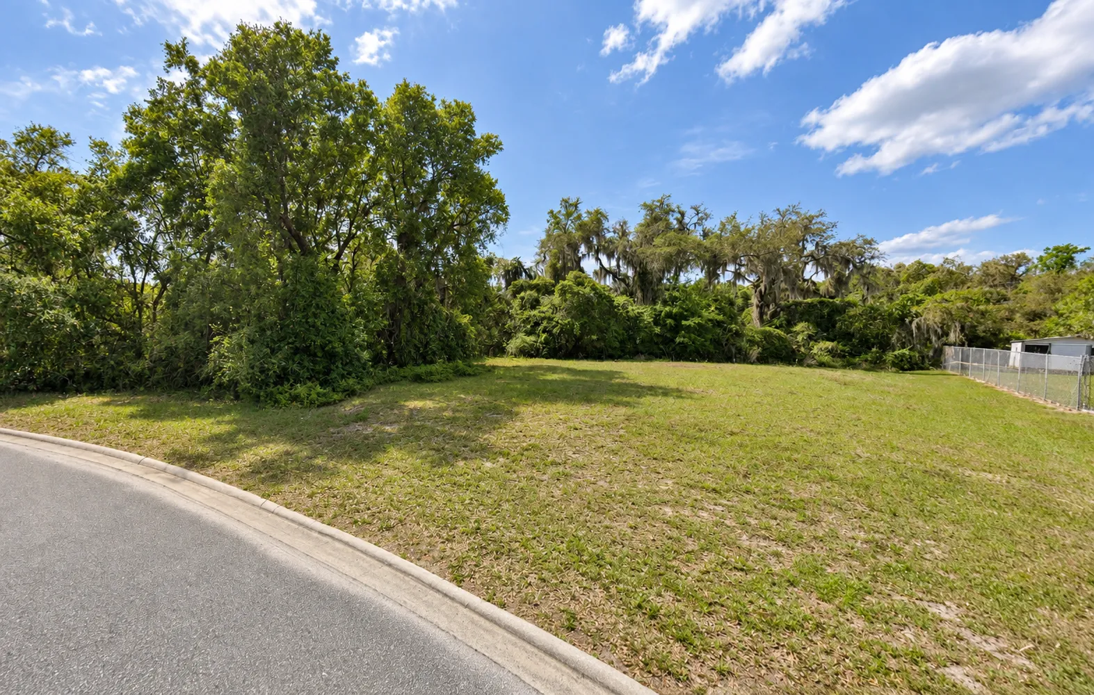 Street-facing view of the vacant lot at 220 Oak Ridge Drive in Welaka