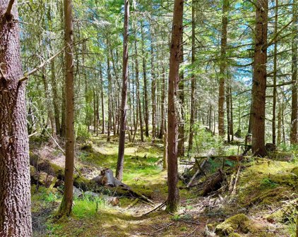 0 Lot B Pioneer Hill Road, Orcas Island