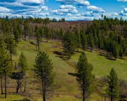 NKA 20acs Hidden Valley Ln, Lot 2, Weippe image