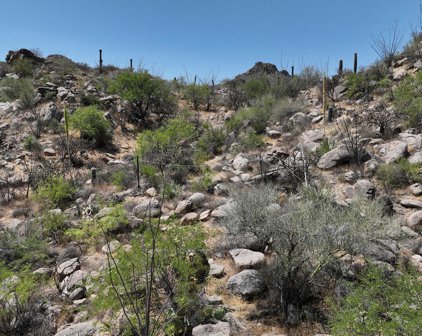3879 W Cayton Mountain, Marana