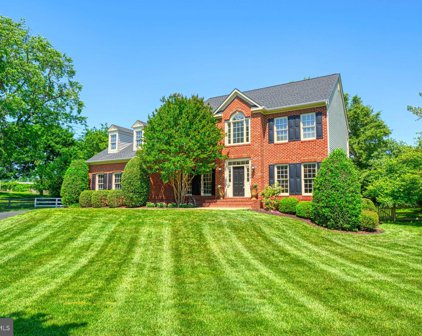 11104 Tommye Ln, Reston