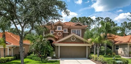 14506 Mirasol Manor Court, Tampa