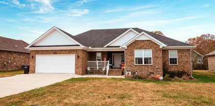 165 Daffodil Drive, Tullahoma
