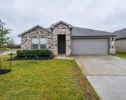 20418 Tembec Drive, New Caney image
