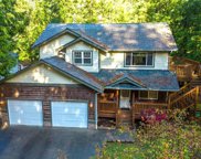 1 Twin Flower Circle, Bellingham image