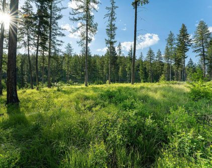 175 Trading Post Trail, Bigfork