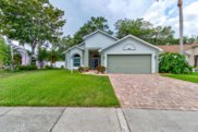 533 Cedaredge Drive, New Smyrna Beach image