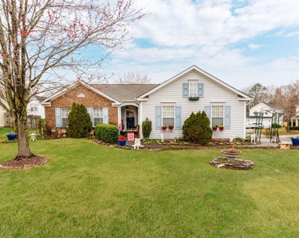 3307 Southern Ginger  Drive, Indian Trail
