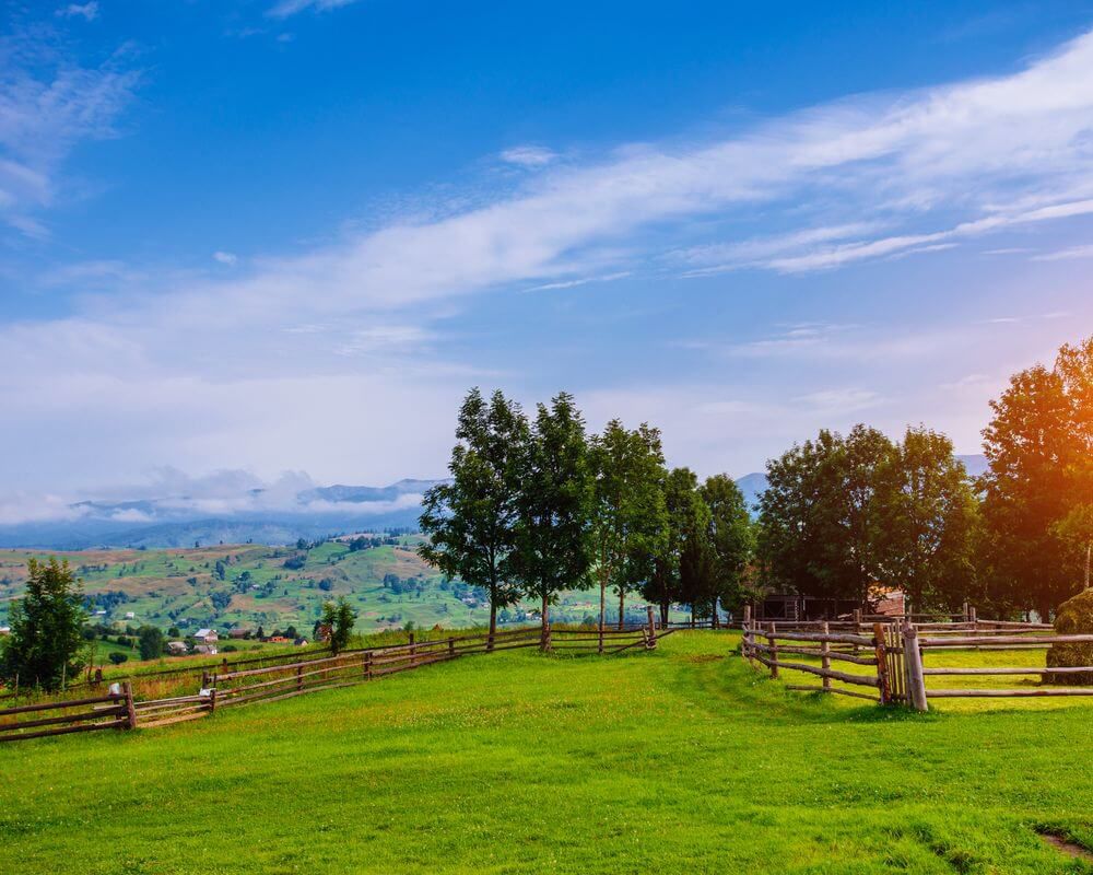 Homes with Acreage in the NC High Country