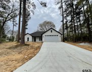 243 Chelsea Ln, Bullard image