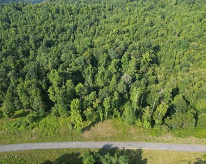 LOT # 6 River Ridge Ln, Mt. Nebo