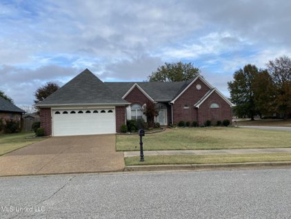 7354 Ivy Trails Cove, Olive Branch