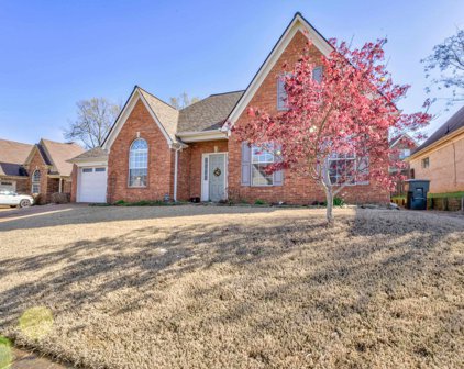 9547 Morning Shadow Dr, Cordova
