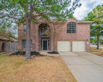 11911 Royal Isle Court, Tomball