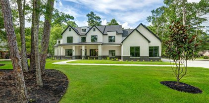 2 Lake Drive, Conroe