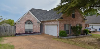 7935 Allendale Cove, Olive Branch