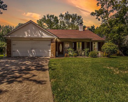 4006 Spring Brook Court, Pearland