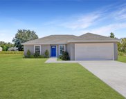 45 Fisher Trace, Ocklawaha image
